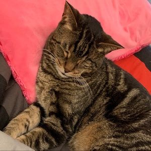 Meet your Posher, Kate